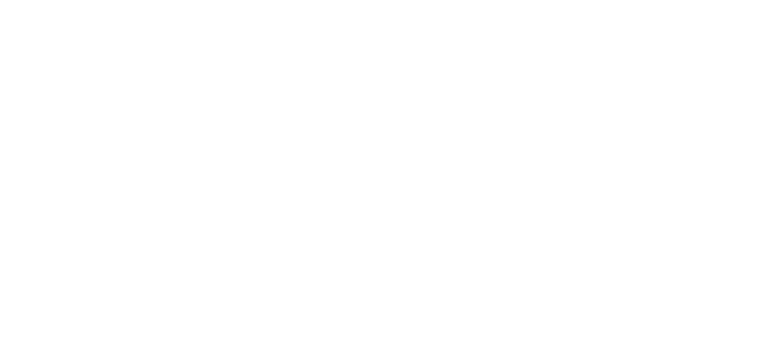 Sulger Stiftung