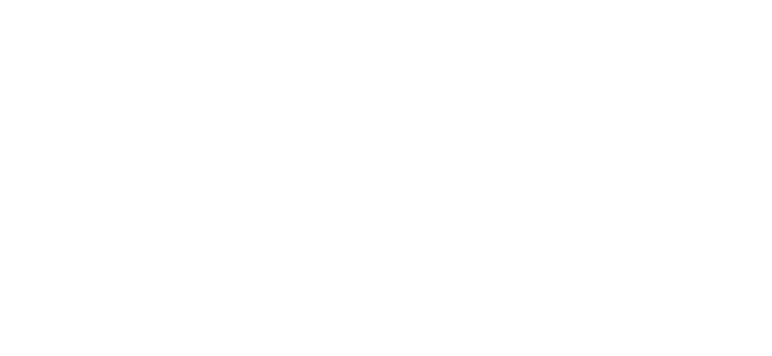 Basler Zeitung